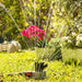Aspersor de Riego 360º para Jardín Klerdden InnovaGoods 36 chorros - Smart Shop online