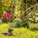 Aspersor de Riego 360º para Jardín Klerdden InnovaGoods 36 chorros - Smart Shop online